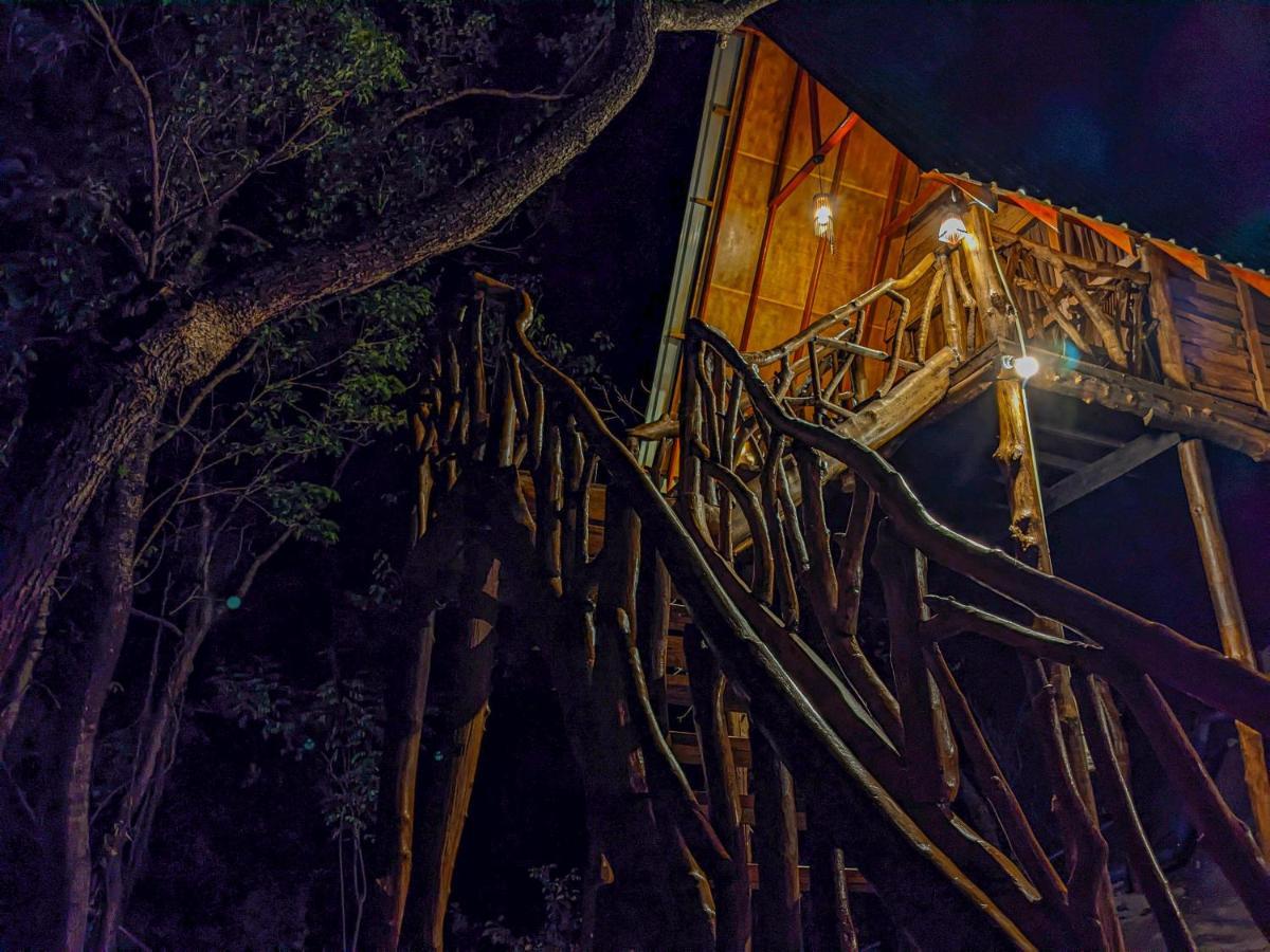 Wooden Cabana סיגירייה מראה חיצוני תמונה