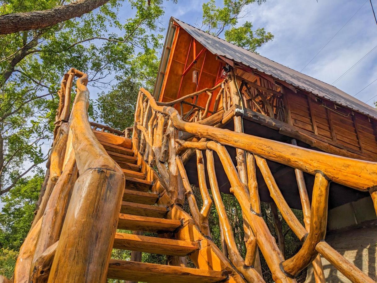 Wooden Cabana סיגירייה מראה חיצוני תמונה