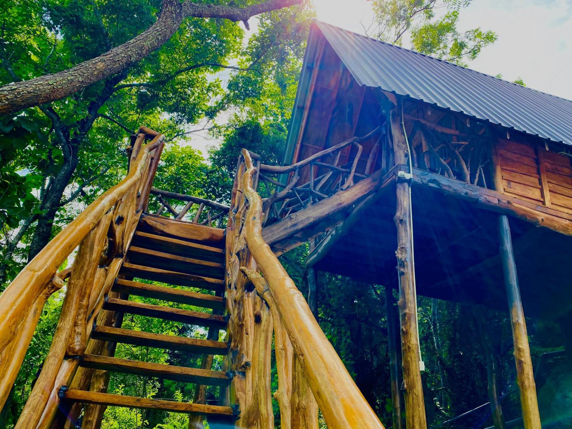 Wooden Cabana סיגירייה מראה חיצוני תמונה